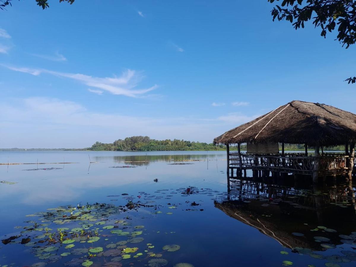 Lake Resort Bolgoda Wadduwa Kültér fotó